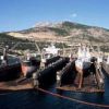 Elefsis Shipbuilding and Industrial Enterprises S.A